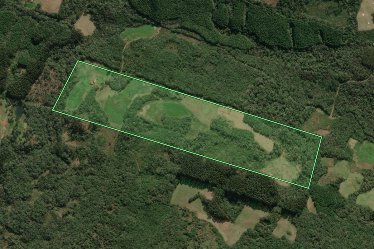 Imagem de satélite do imóvel rural em Porto União (SC), com o contorno declarado no CAR desenhado por cima.