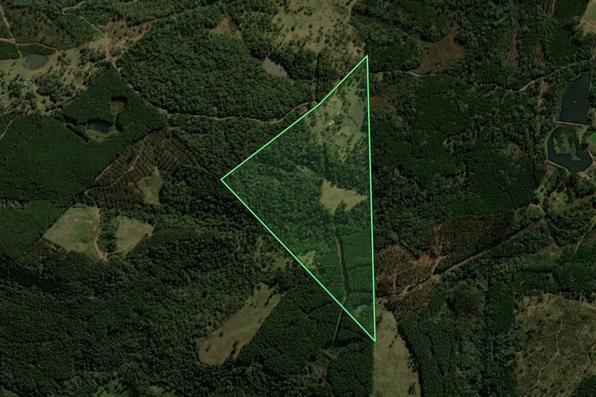 Imagem de satélite do imóvel rural em Porto União (SC), com o contorno declarado no CAR desenhado por cima.