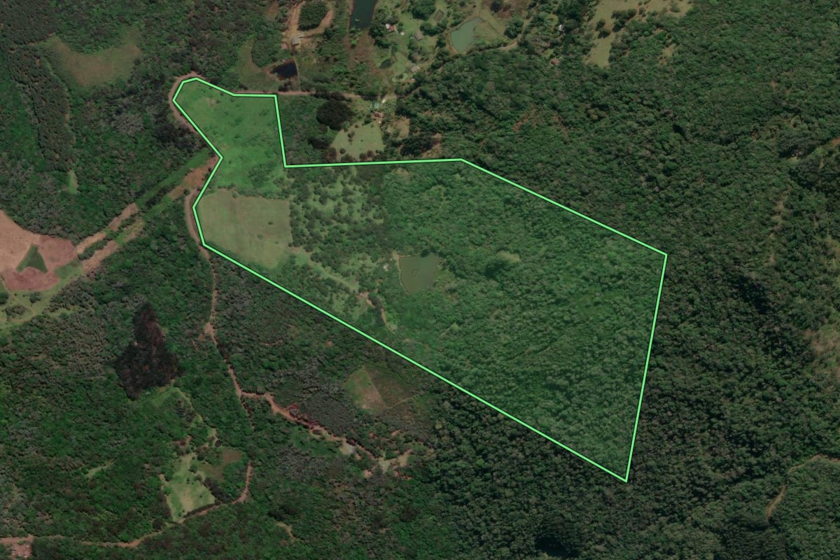 Imagem de satélite do imóvel rural em Porto União (SC), com o contorno declarado no CAR desenhado por cima.