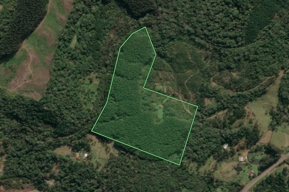 Imagem de satélite do imóvel rural em Porto União (SC), com o contorno declarado no CAR desenhado por cima.