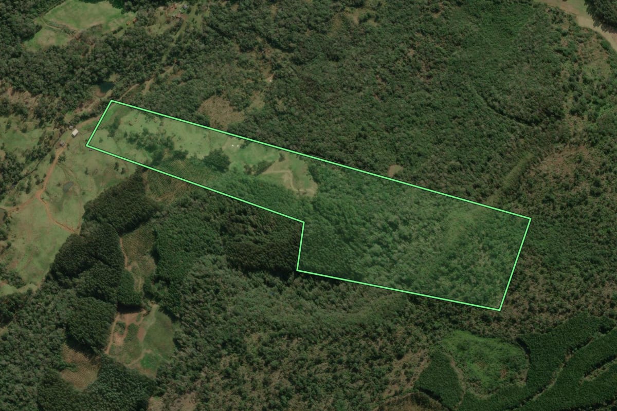 Imagem de satélite do imóvel rural em Porto União (SC), com o contorno declarado no CAR desenhado por cima.