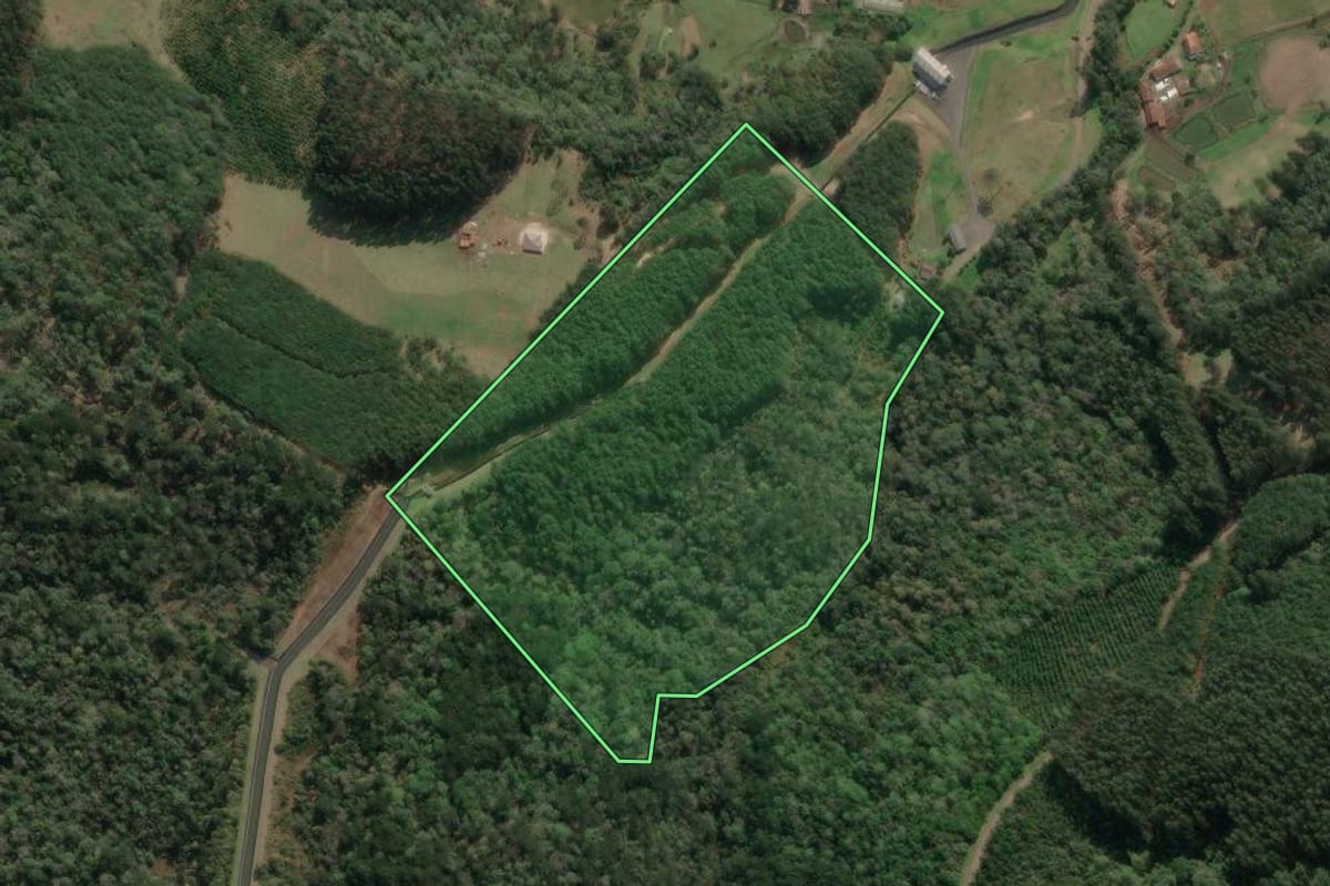 Imagem de satélite do imóvel rural em Porto União (SC), com o contorno declarado no CAR desenhado por cima.