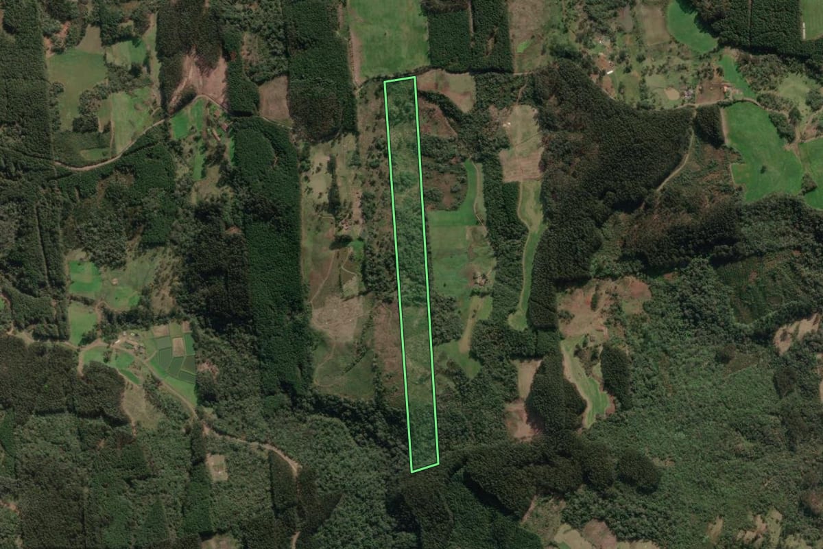 Imagem de satélite do imóvel rural em Porto União (SC), com o contorno declarado no CAR desenhado por cima.