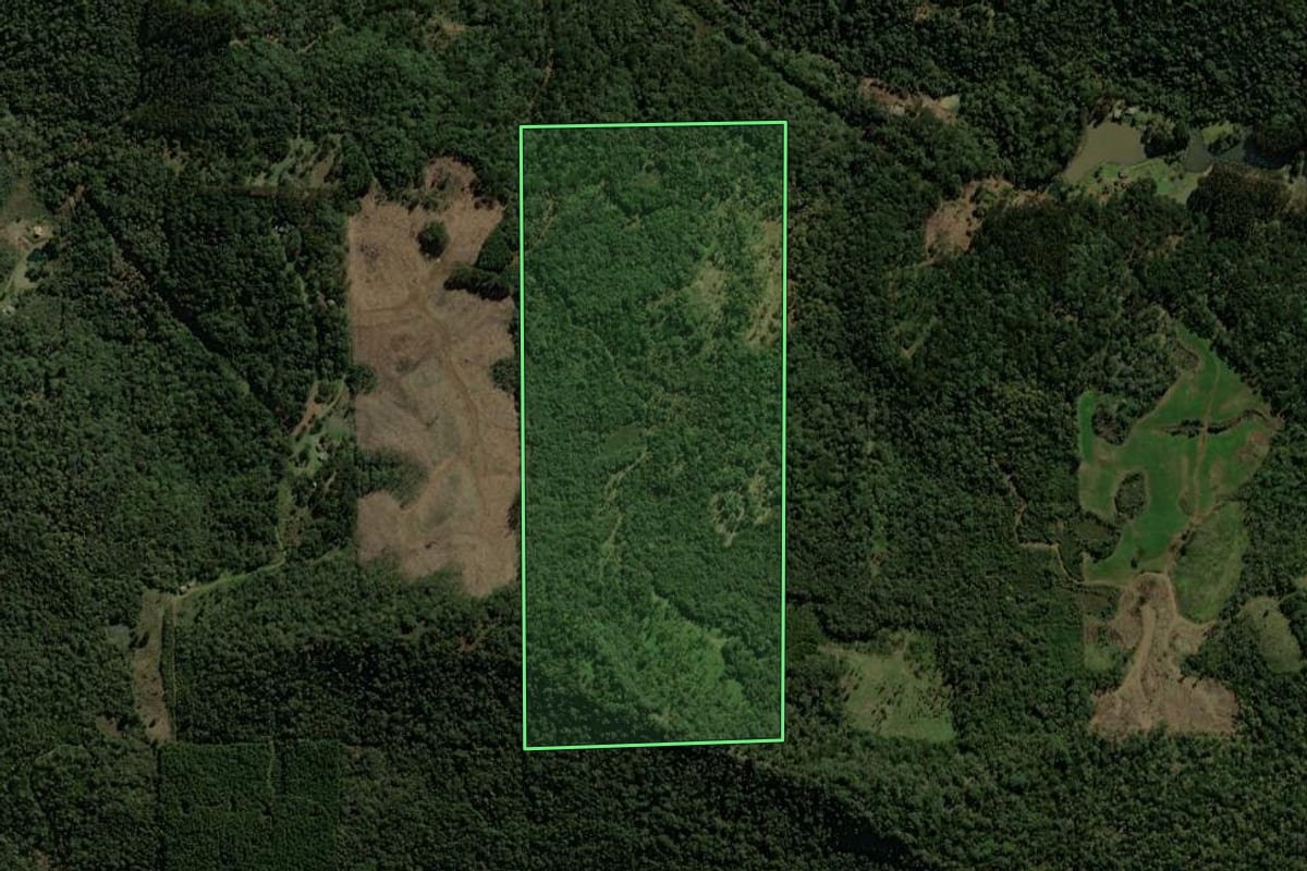 Imagem de satélite do imóvel rural em Porto União (SC), com o contorno declarado no CAR desenhado por cima.
