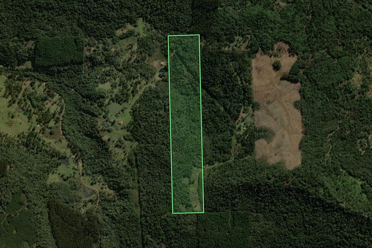 Imagem de satélite do imóvel rural em Porto União (SC), com o contorno declarado no CAR desenhado por cima.