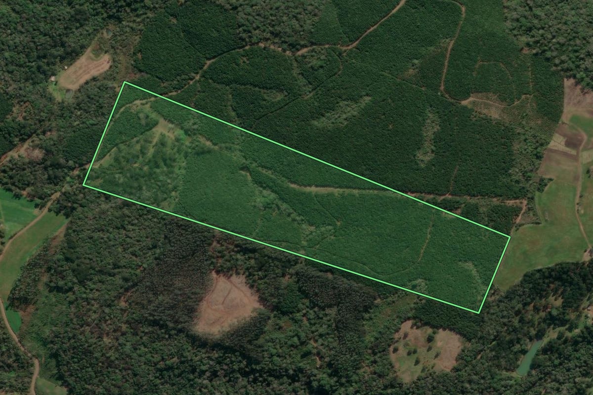 Imagem de satélite do imóvel rural em Porto União (SC), com o contorno declarado no CAR desenhado por cima.