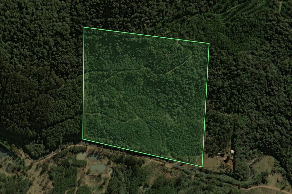 Imagem de satélite do imóvel rural em Porto União (SC), com o contorno declarado no CAR desenhado por cima.
