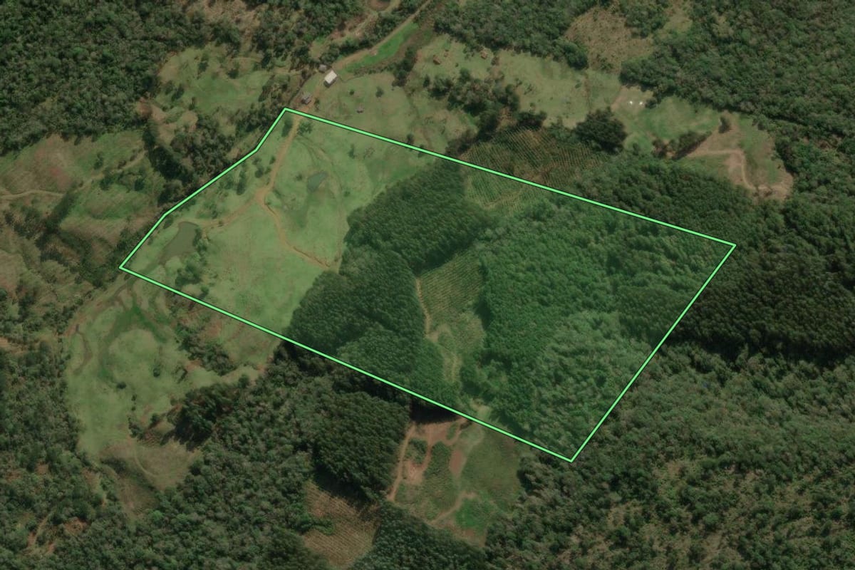 Imagem de satélite do imóvel rural em Porto União (SC), com o contorno declarado no CAR desenhado por cima.