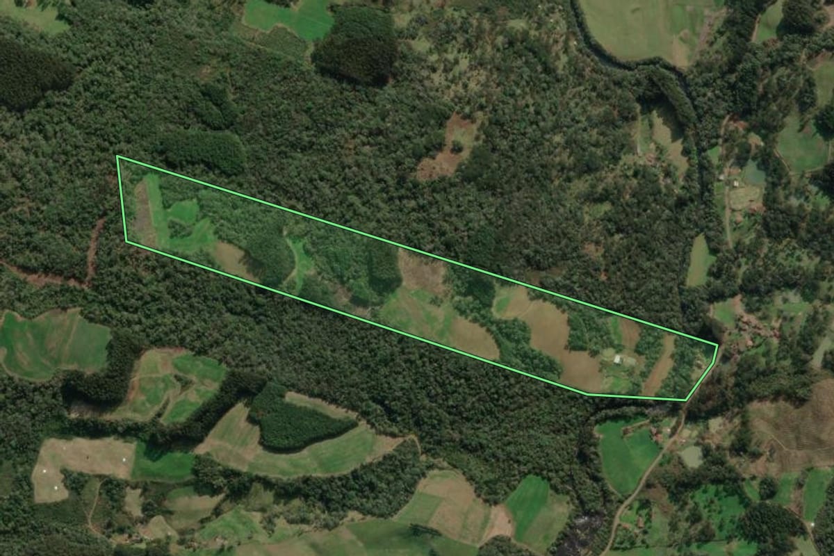 Imagem de satélite do imóvel rural em Porto União (SC), com o contorno declarado no CAR desenhado por cima.
