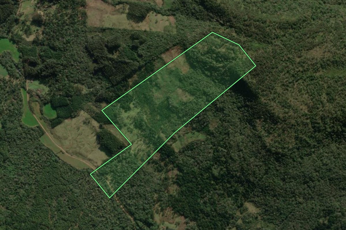 Imagem de satélite do imóvel rural em Porto União (SC), com o contorno declarado no CAR desenhado por cima.
