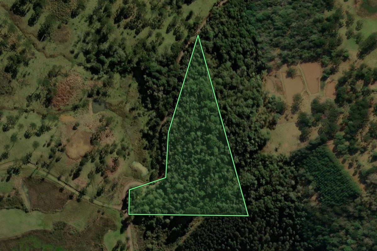 Imagem de satélite do imóvel rural em Porto União (SC), com o contorno declarado no CAR desenhado por cima.