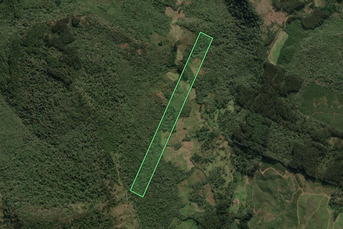 Imagem de satélite do imóvel rural em Porto União (SC), com o contorno declarado no CAR desenhado por cima.