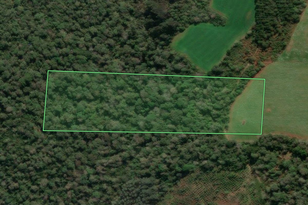 Imagem de satélite do imóvel rural em Porto União (SC), com o contorno declarado no CAR desenhado por cima.