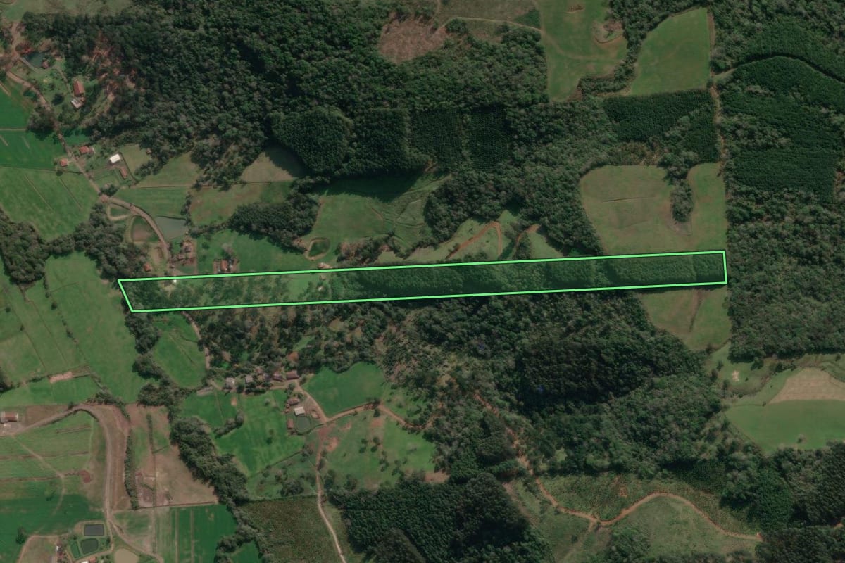 Imagem de satélite do imóvel rural em Porto União (SC), com o contorno declarado no CAR desenhado por cima.