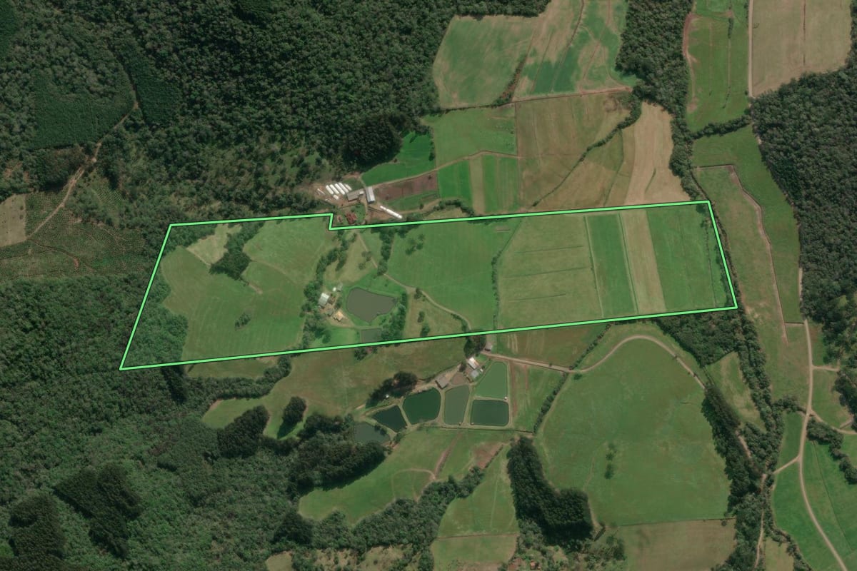 Imagem de satélite do imóvel rural em Porto União (SC), com o contorno declarado no CAR desenhado por cima.