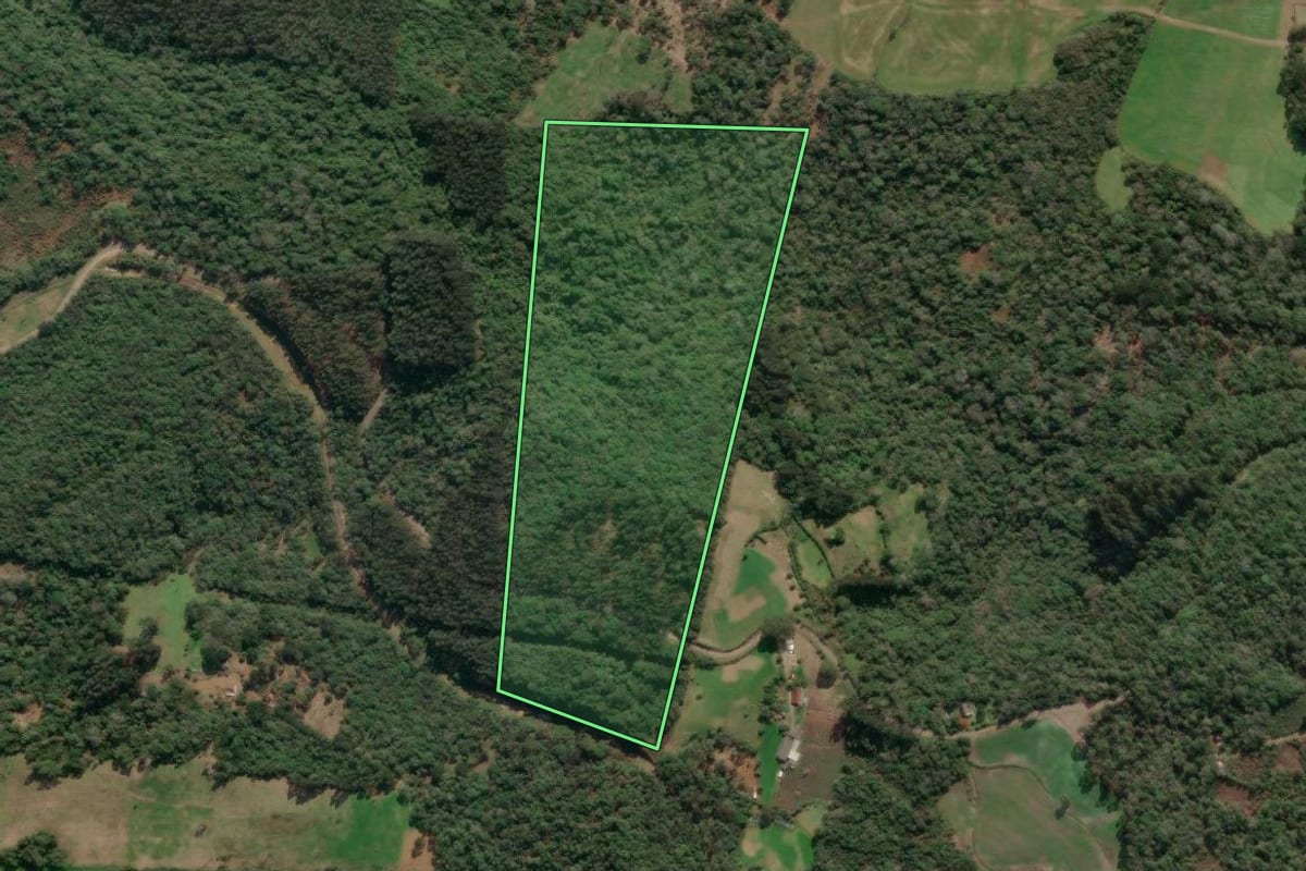 Imagem de satélite do imóvel rural em Porto União (SC), com o contorno declarado no CAR desenhado por cima.