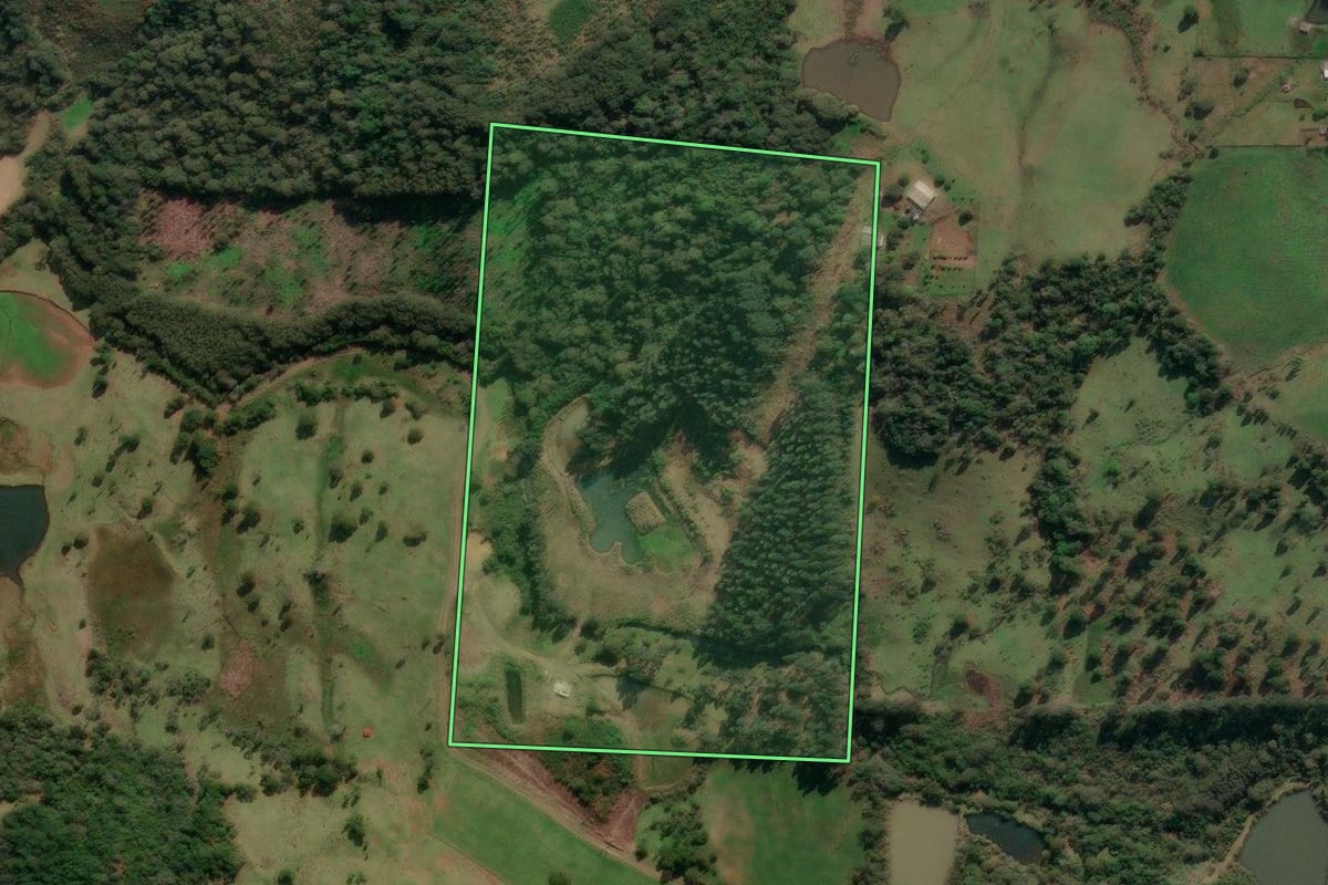 Imagem de satélite do imóvel rural em Porto União (SC), com o contorno declarado no CAR desenhado por cima.