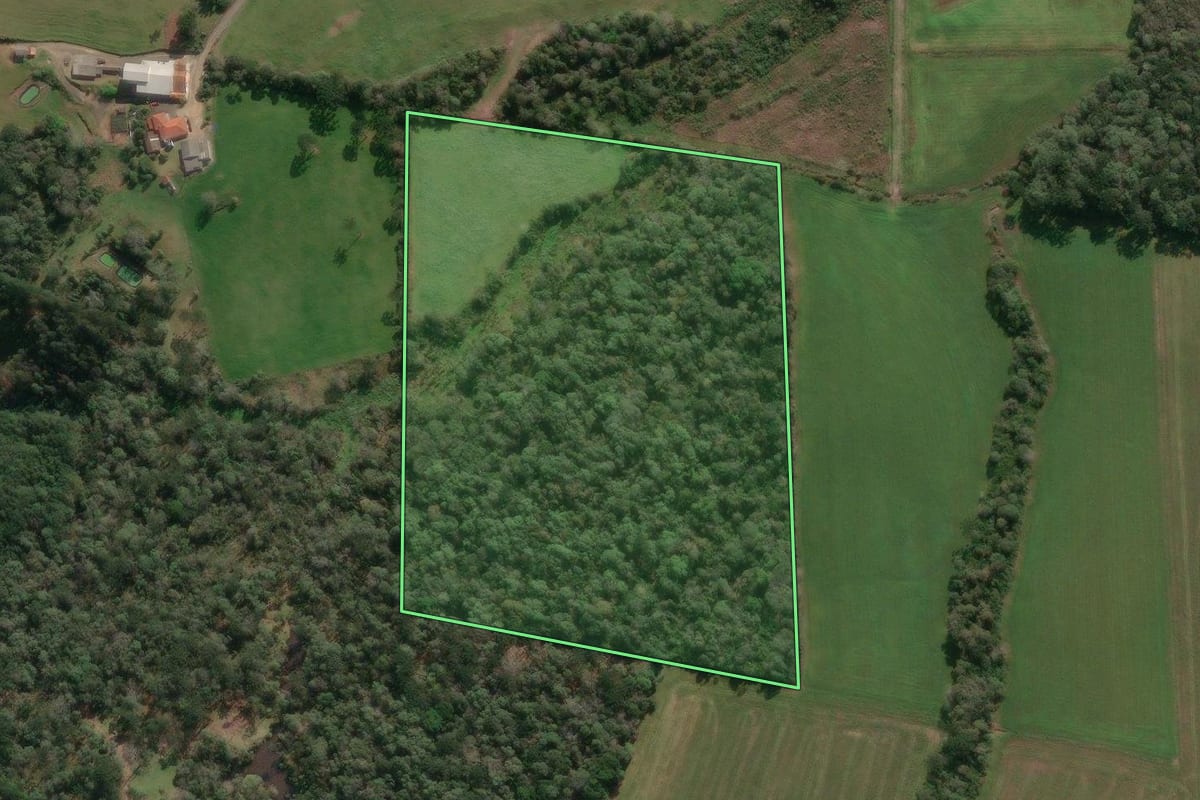 Imagem de satélite do imóvel rural em Porto União (SC), com o contorno declarado no CAR desenhado por cima.