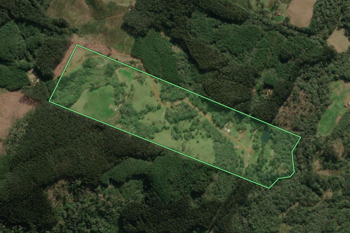 Imagem de satélite do imóvel rural em Porto União (SC), com o contorno declarado no CAR desenhado por cima.