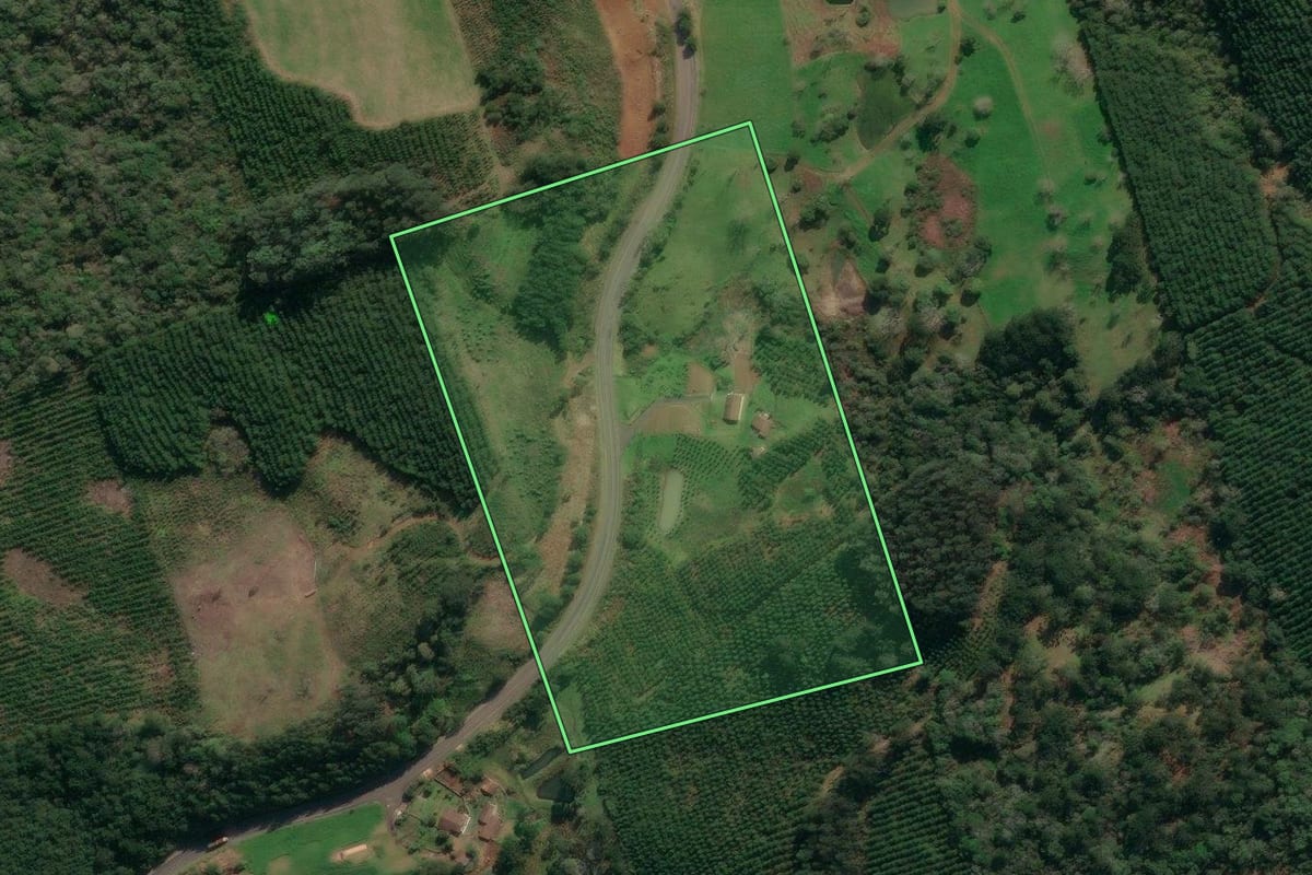 Imagem de satélite do imóvel rural em Porto União (SC), com o contorno declarado no CAR desenhado por cima.