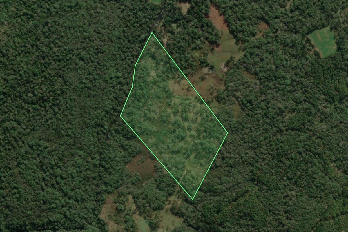 Imagem de satélite do imóvel rural em Porto União (SC), com o contorno declarado no CAR desenhado por cima.