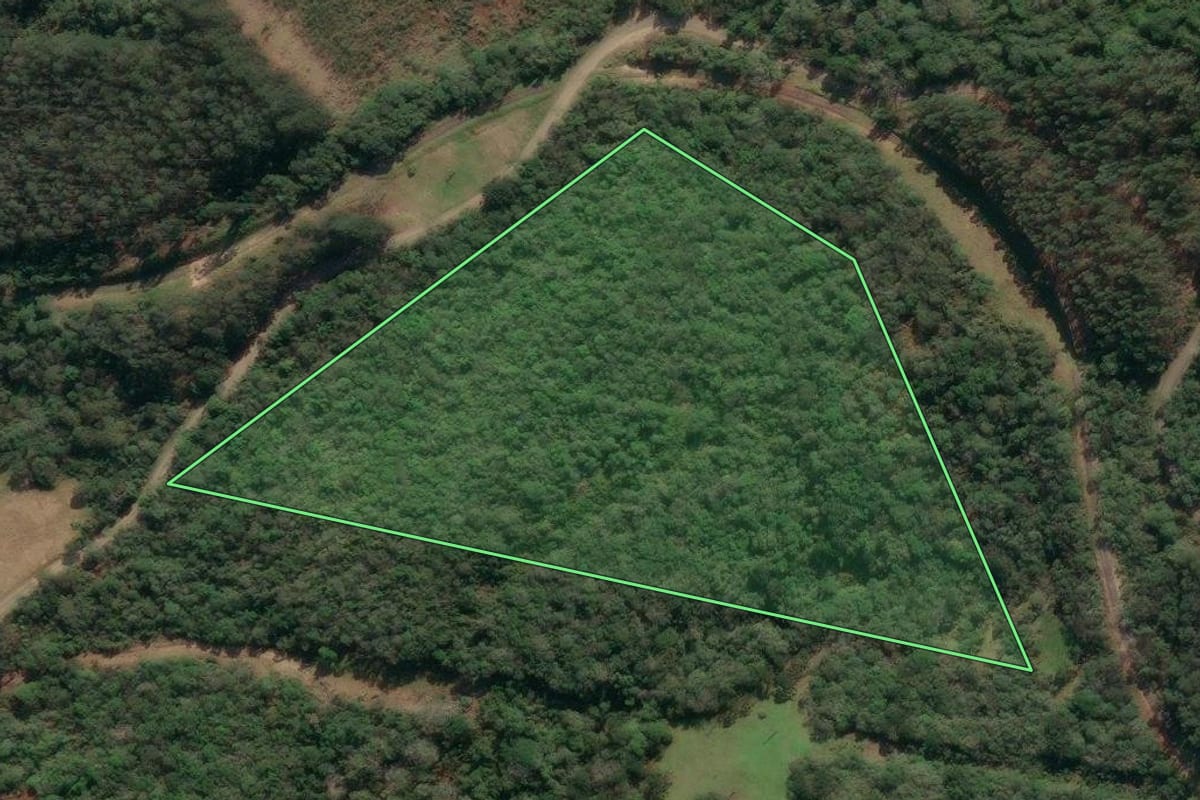Imagem de satélite do imóvel rural em Porto União (SC), com o contorno declarado no CAR desenhado por cima.