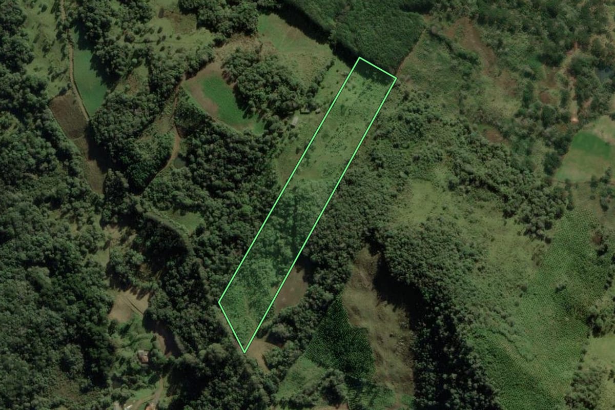 Imagem de satélite do imóvel rural em Porto União (SC), com o contorno declarado no CAR desenhado por cima.