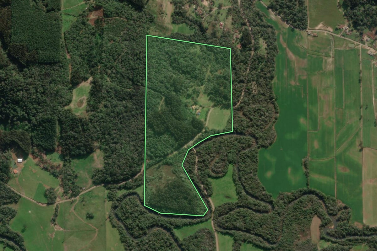 Imagem de satélite do imóvel rural em Porto União (SC), com o contorno declarado no CAR desenhado por cima.