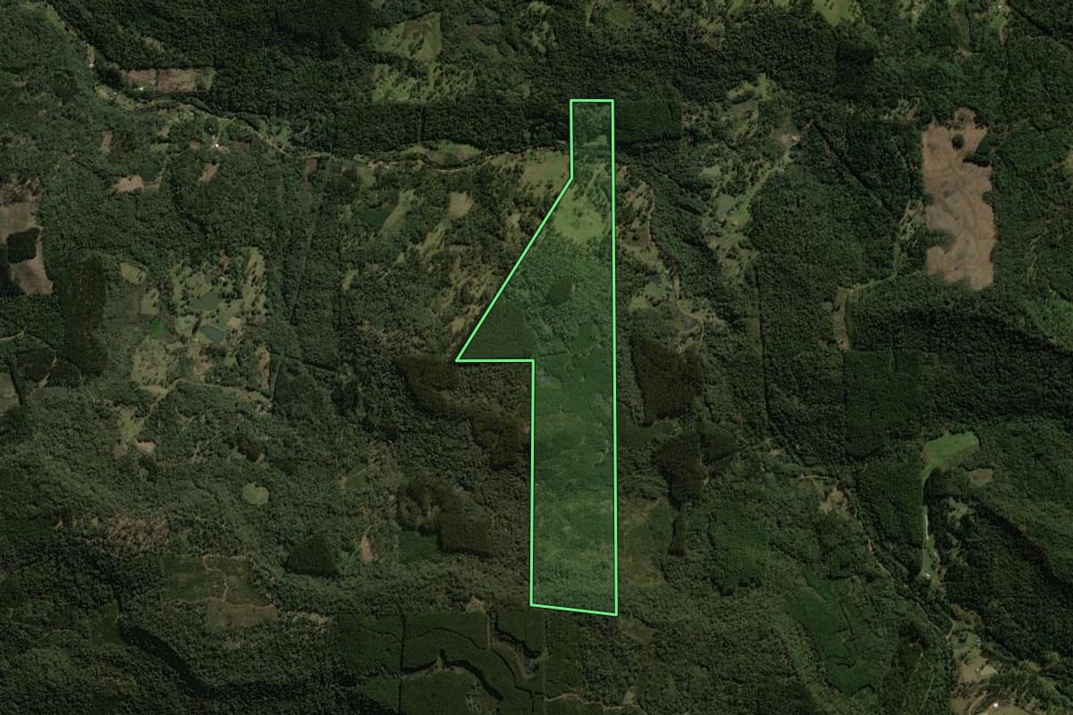 Imagem de satélite do imóvel rural em Porto União (SC), com o contorno declarado no CAR desenhado por cima.