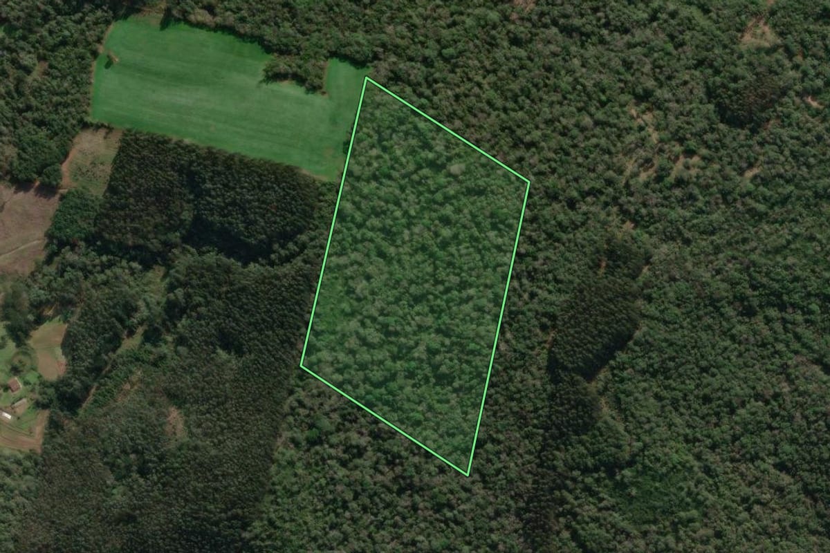 Imagem de satélite do imóvel rural em Porto União (SC), com o contorno declarado no CAR desenhado por cima.