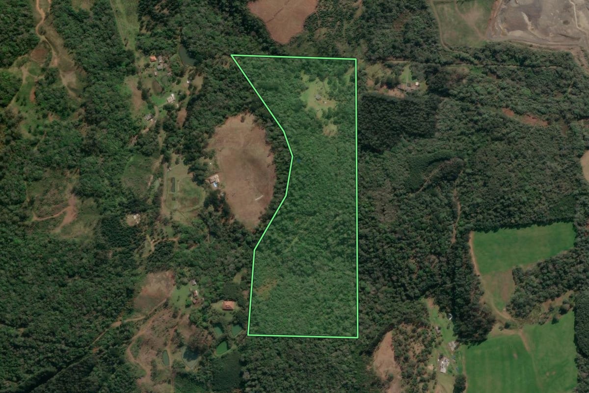 Imagem de satélite do imóvel rural em Porto União (SC), com o contorno declarado no CAR desenhado por cima.