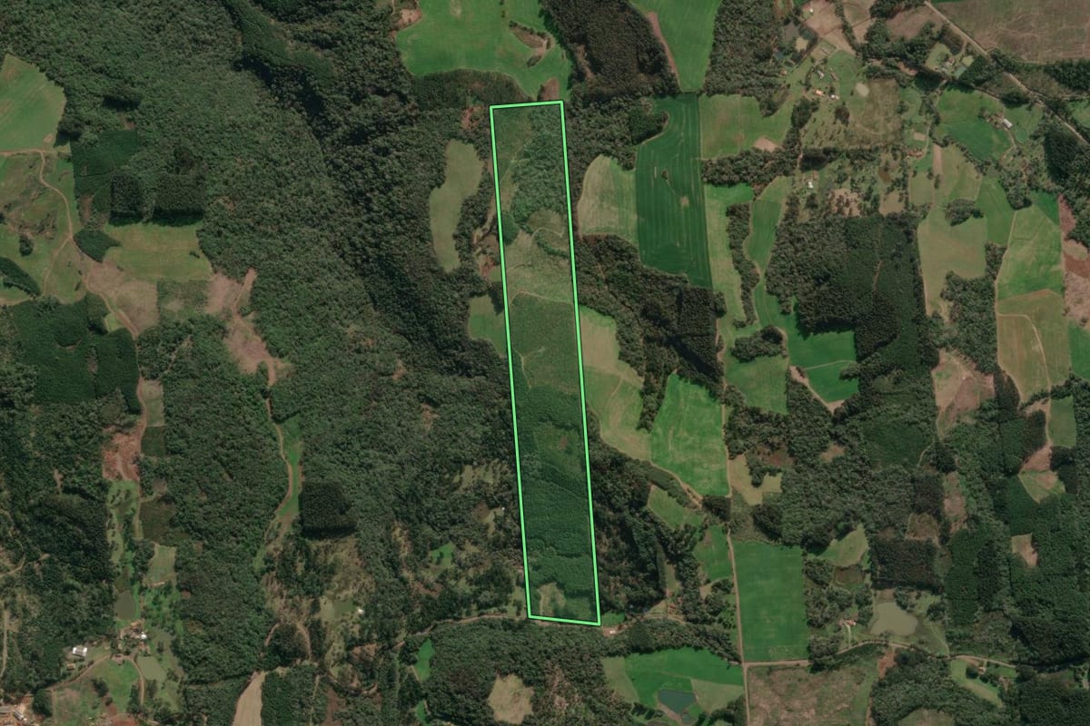 Imagem de satélite do imóvel rural em Porto União (SC), com o contorno declarado no CAR desenhado por cima.
