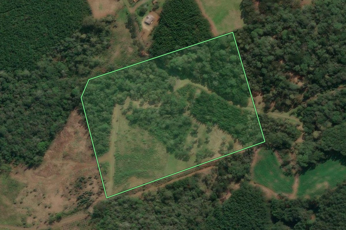 Imagem de satélite do imóvel rural em Porto União (SC), com o contorno declarado no CAR desenhado por cima.