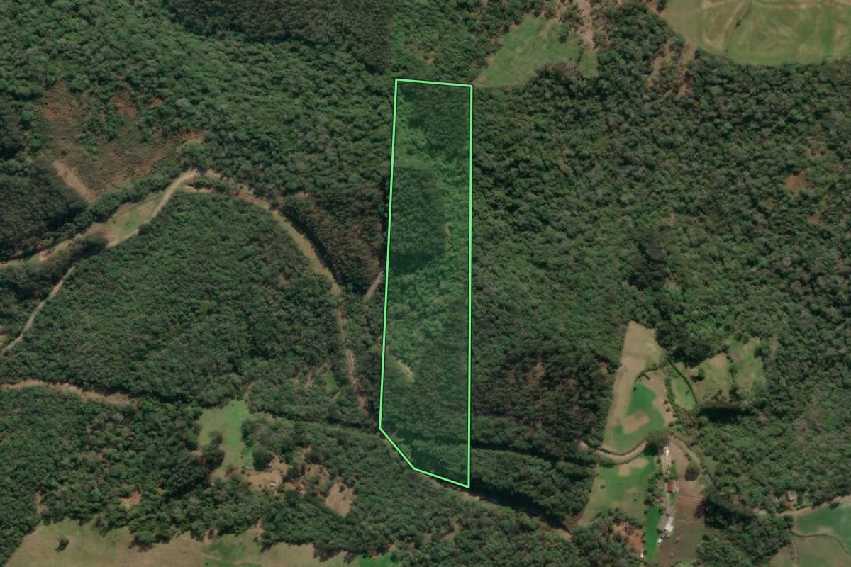 Imagem de satélite do imóvel rural em Porto União (SC), com o contorno declarado no CAR desenhado por cima.