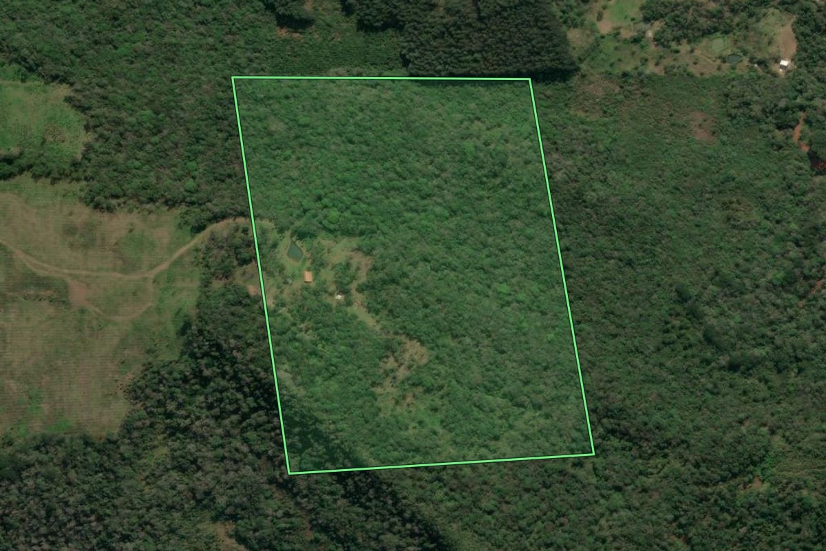 Imagem de satélite do imóvel rural em Porto União (SC), com o contorno declarado no CAR desenhado por cima.