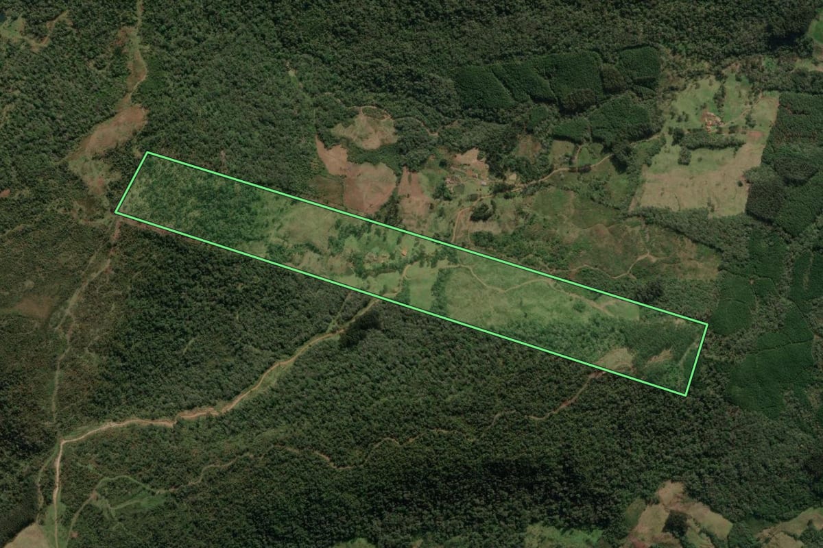 Imagem de satélite do imóvel rural em Porto União (SC), com o contorno declarado no CAR desenhado por cima.