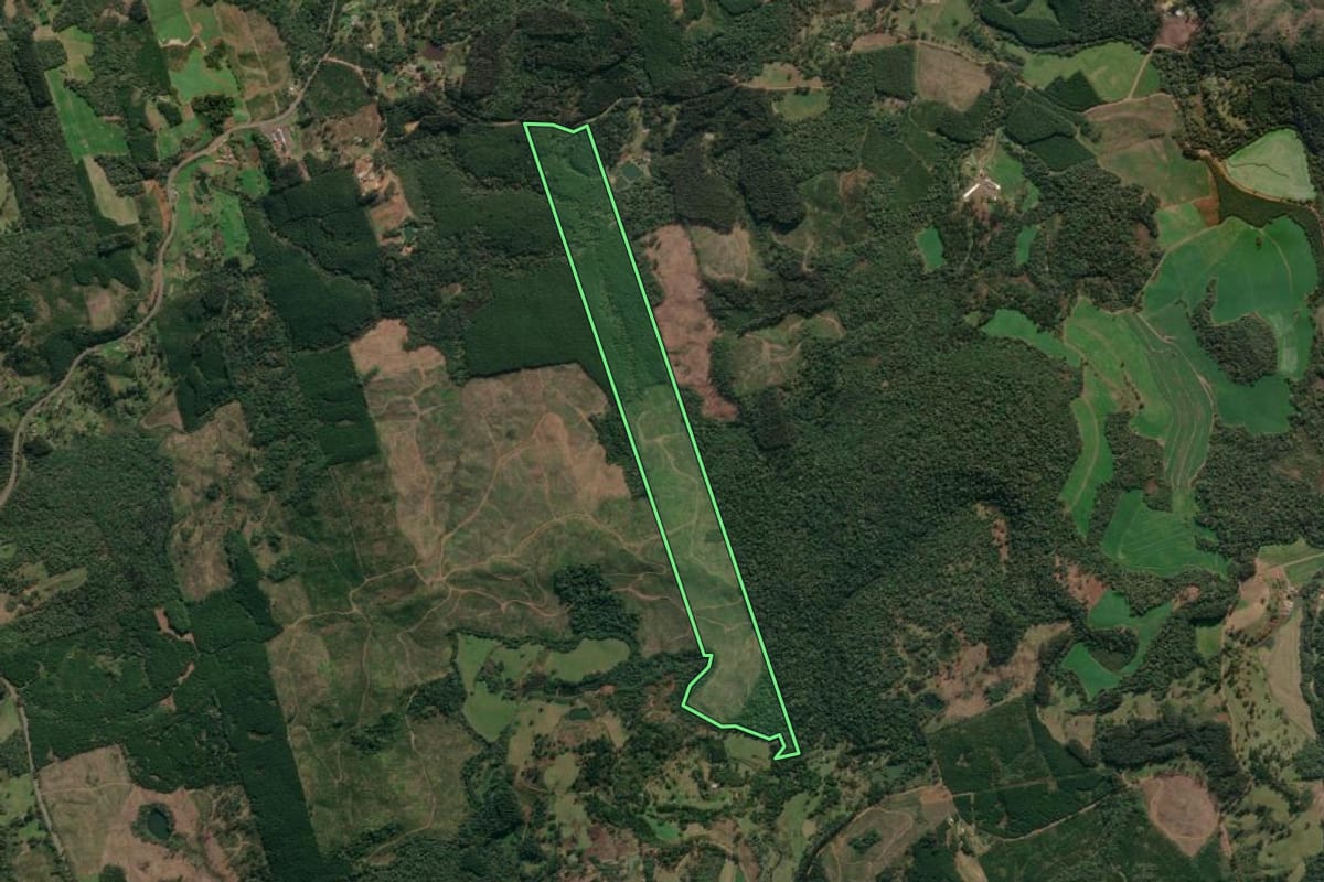 Imagem de satélite do imóvel rural em Porto União (SC), com o contorno declarado no CAR desenhado por cima.