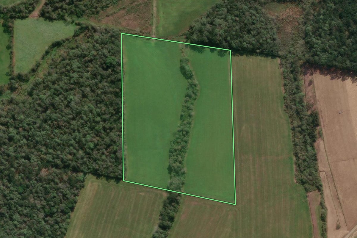 Imagem de satélite do imóvel rural em Porto União (SC), com o contorno declarado no CAR desenhado por cima.