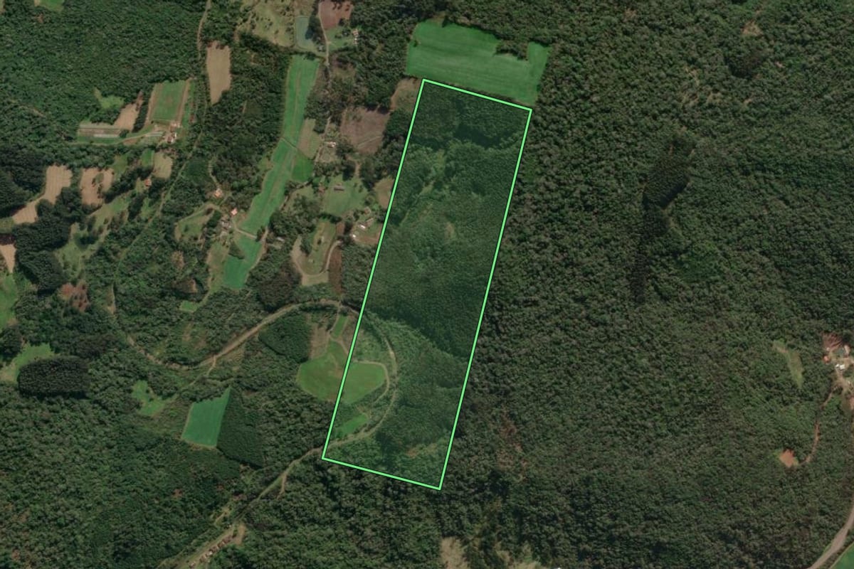 Imagem de satélite do imóvel rural em Porto União (SC), com o contorno declarado no CAR desenhado por cima.