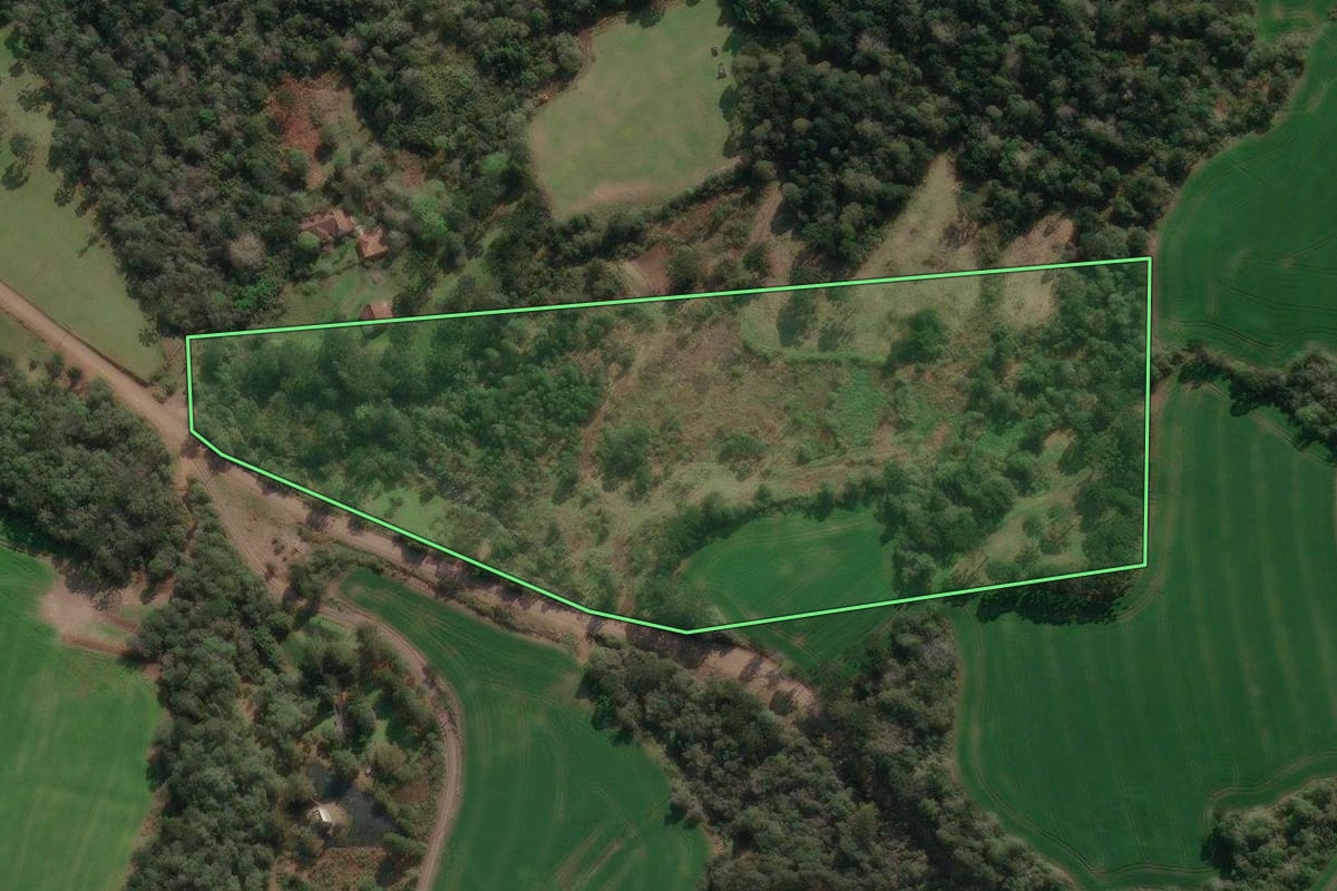 Imagem de satélite do imóvel rural em Porto União (SC), com o contorno declarado no CAR desenhado por cima.