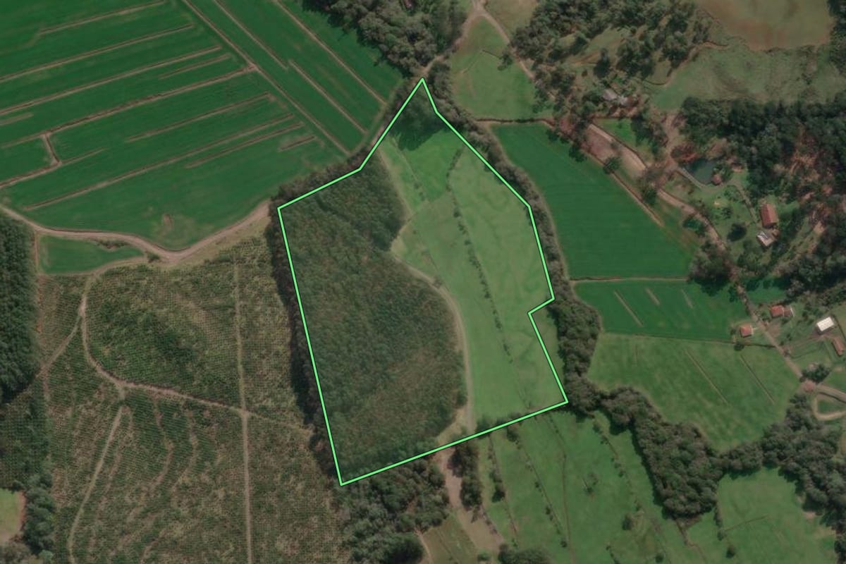 Imagem de satélite do imóvel rural em Porto União (SC), com o contorno declarado no CAR desenhado por cima.