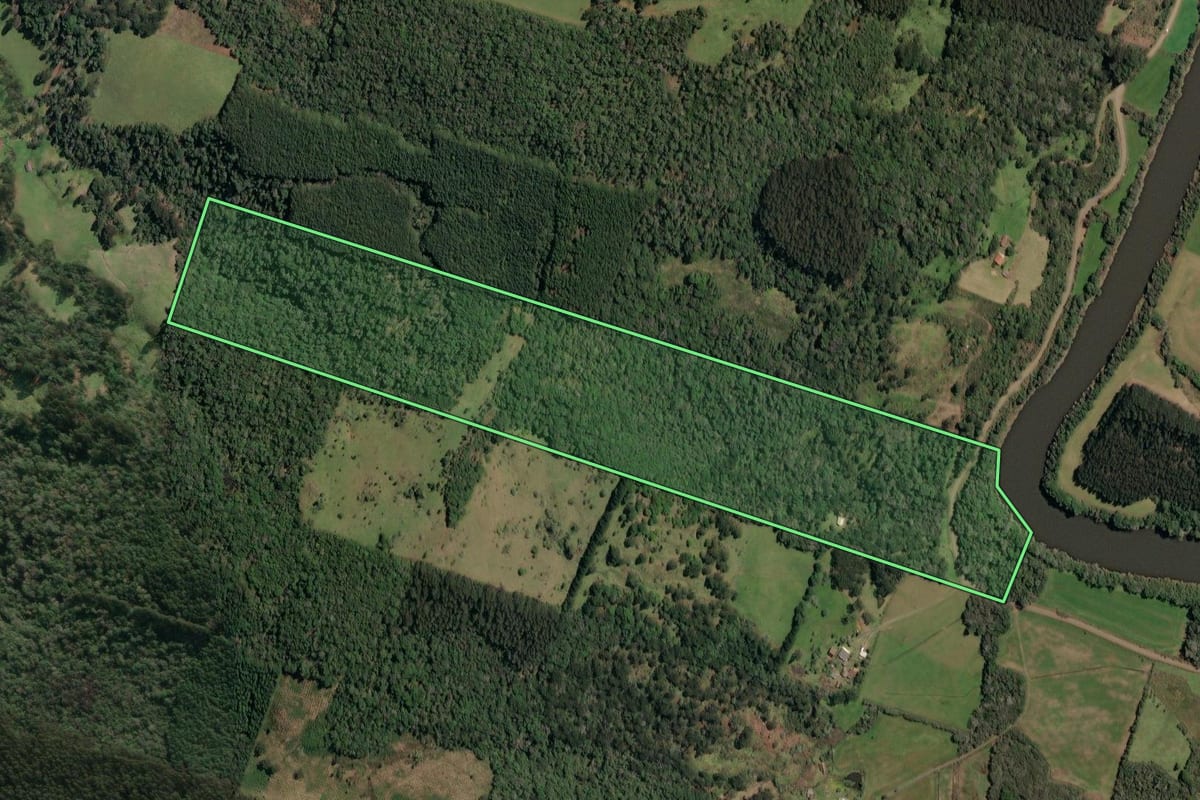 Imagem de satélite do imóvel rural em Porto União (SC), com o contorno declarado no CAR desenhado por cima.
