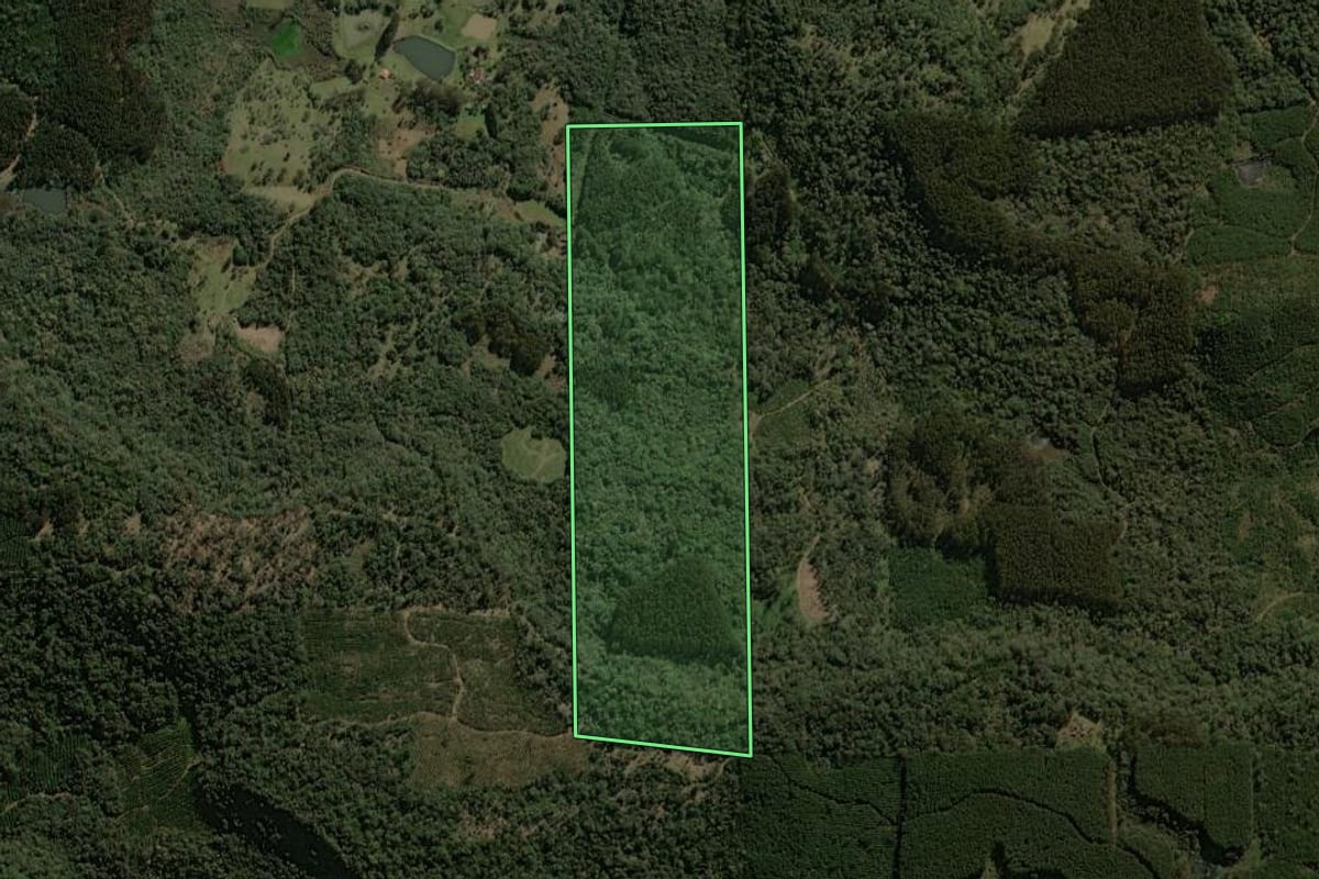 Imagem de satélite do imóvel rural em Porto União (SC), com o contorno declarado no CAR desenhado por cima.
