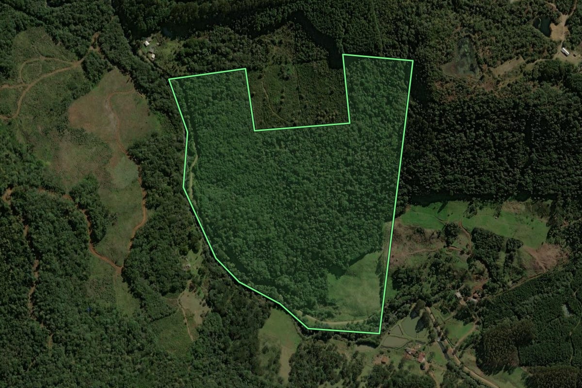 Imagem de satélite do imóvel rural em Porto União (SC), com o contorno declarado no CAR desenhado por cima.