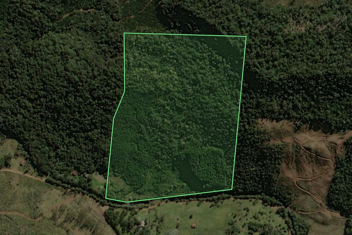 Imagem de satélite do imóvel rural em Porto União (SC), com o contorno declarado no CAR desenhado por cima.