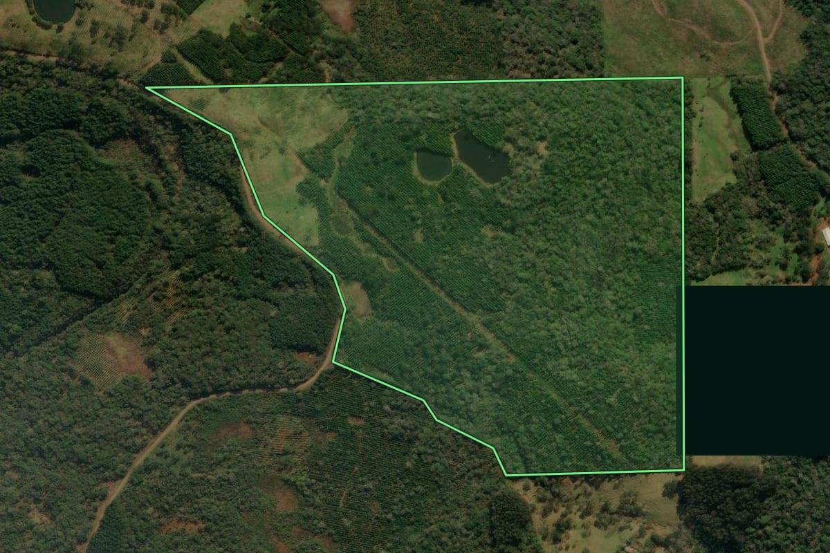 Imagem de satélite do imóvel rural em Porto União (SC), com o contorno declarado no CAR desenhado por cima.