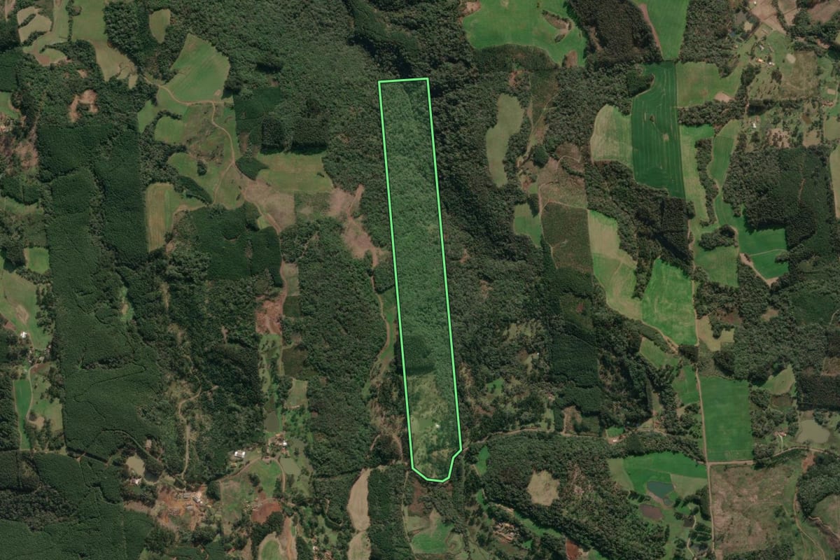 Imagem de satélite do imóvel rural em Porto União (SC), com o contorno declarado no CAR desenhado por cima.