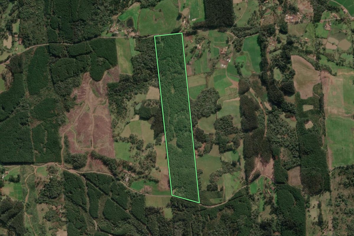 Imagem de satélite do imóvel rural em Porto União (SC), com o contorno declarado no CAR desenhado por cima.
