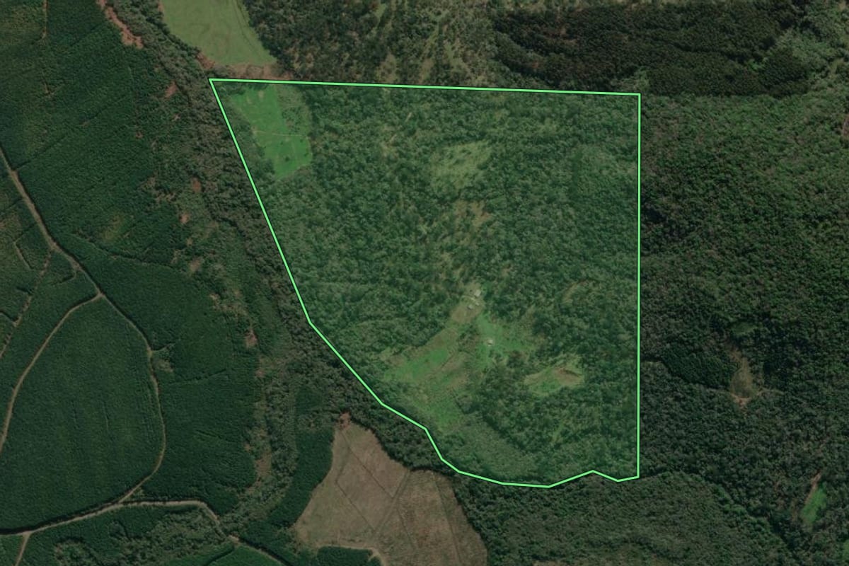 Imagem de satélite do imóvel rural em Porto União (SC), com o contorno declarado no CAR desenhado por cima.