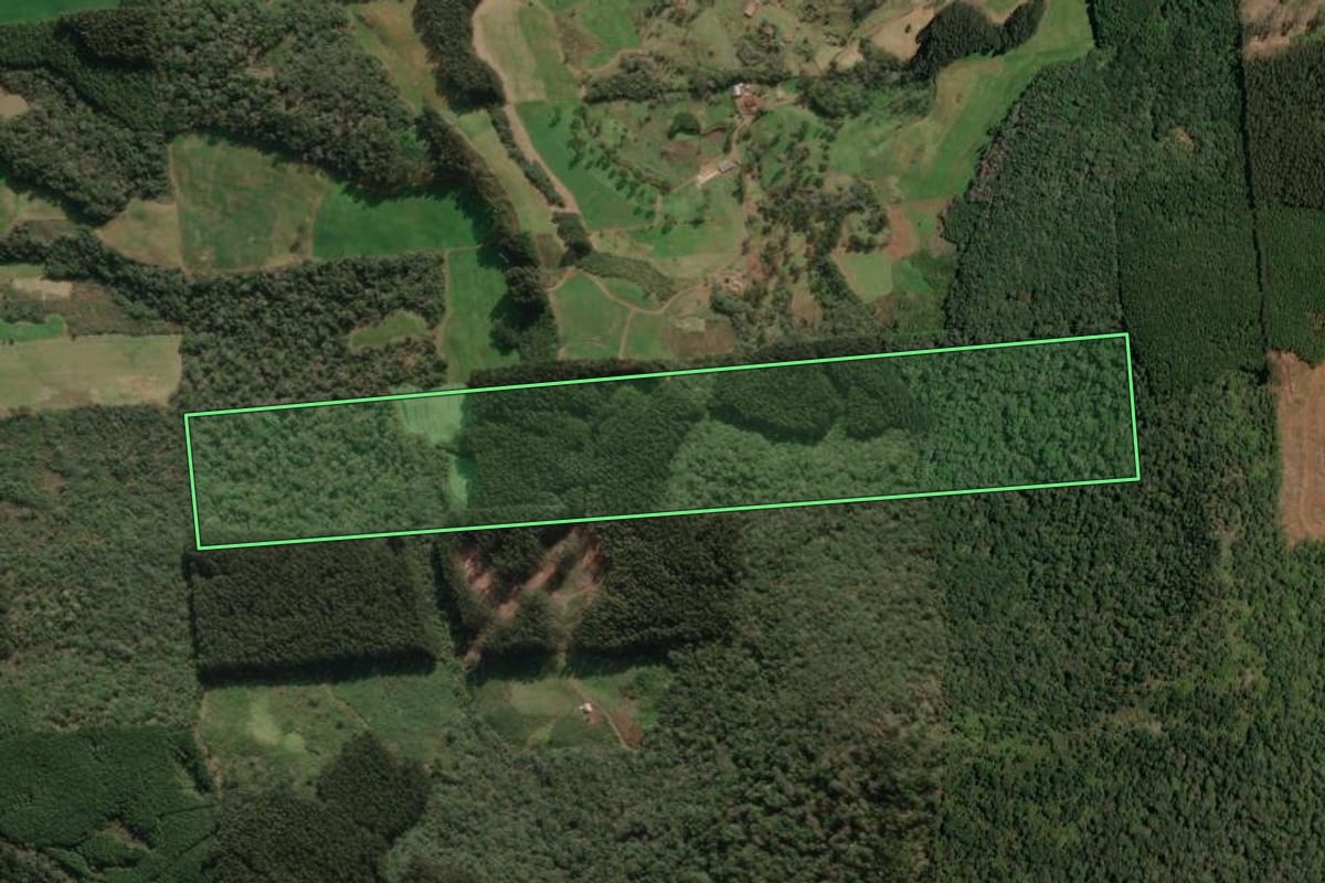 Imagem de satélite do imóvel rural em Porto União (SC), com o contorno declarado no CAR desenhado por cima.